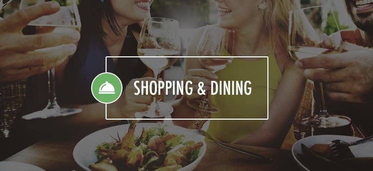 shopping and dinning in lake forest, il