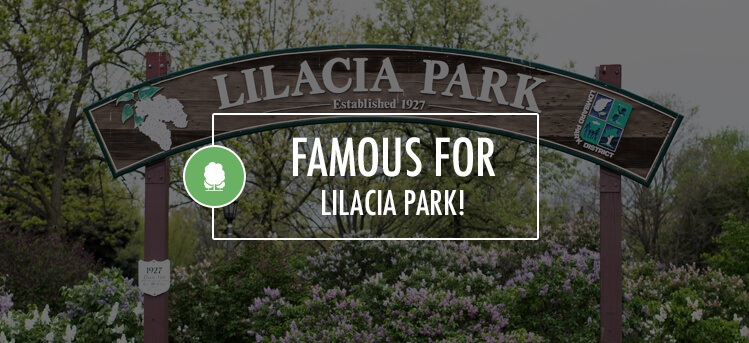 famous for lilacia park