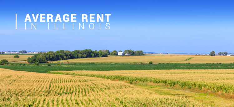 what-is-the-average-rent-in-each-state